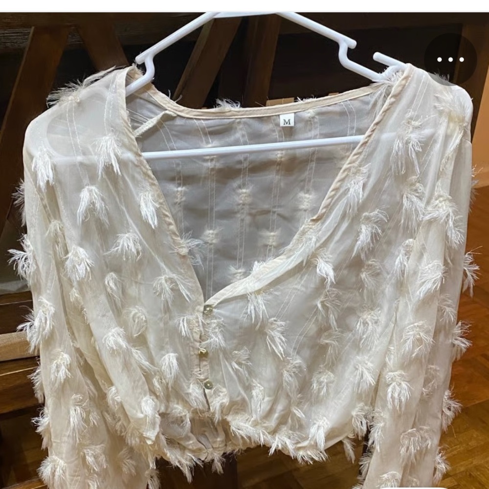 Cream Feathered Sheer Blouse